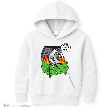 It Is What It Is Possum Dumpster Fire Kids Hoodie