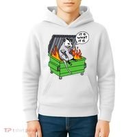 It Is What It Is Possum Dumpster Fire Kids Hoodie thumb 4