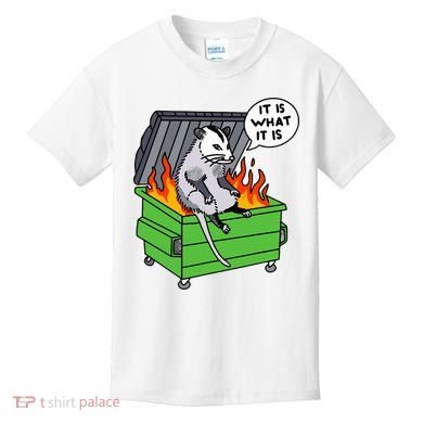 It Is What It Is Possum Dumpster Fire Kids T-Shirt