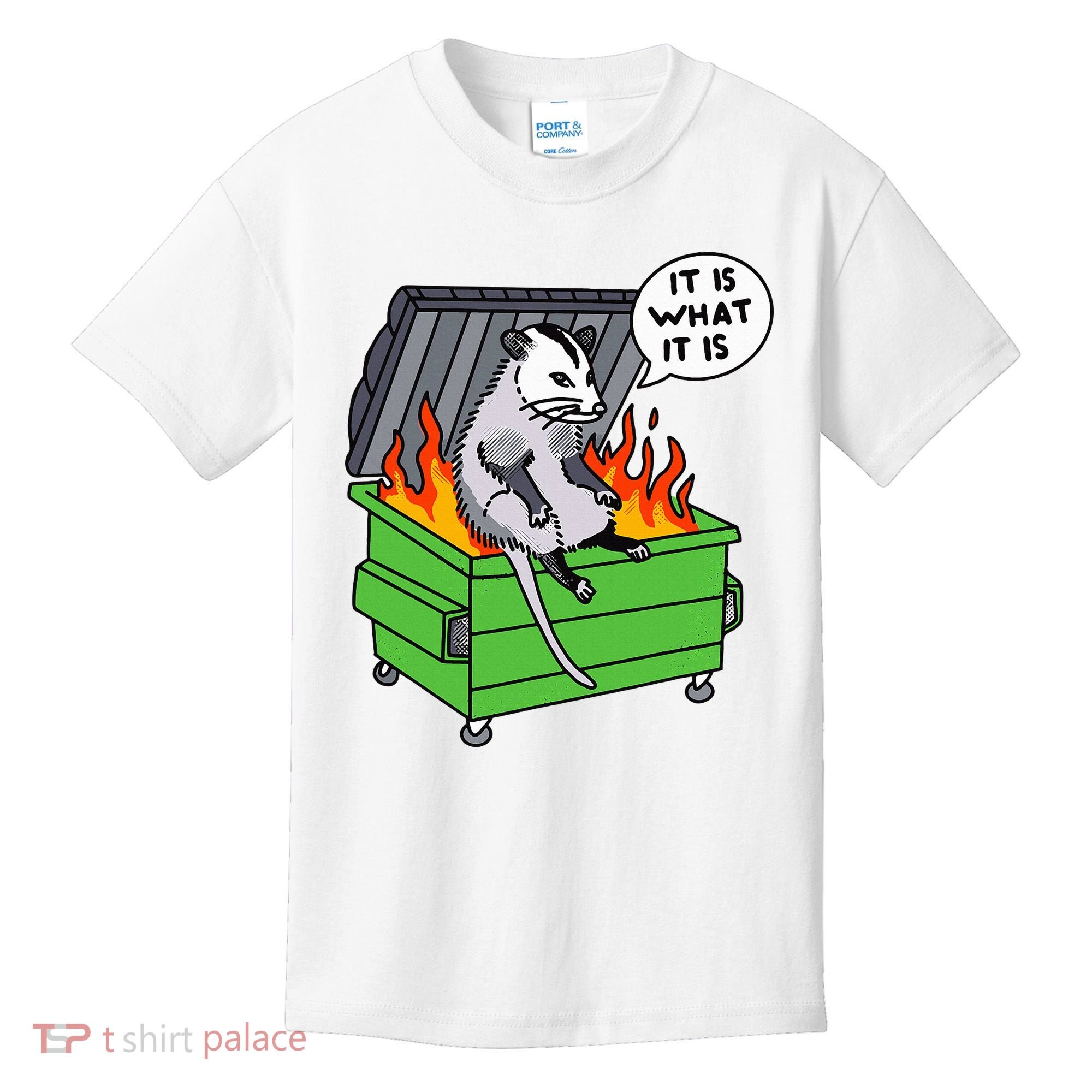 It Is What It Is Possum Dumpster Fire Kids T-Shirt