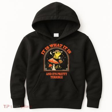It Is What It Is And ItS Pretty Terrible Kids Hoodie