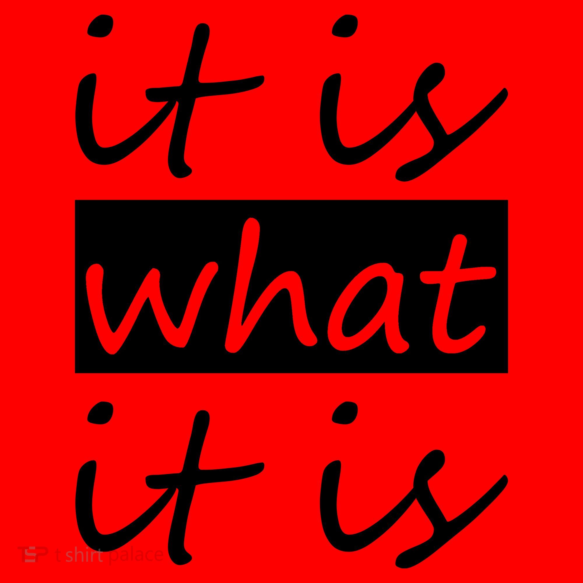 It Is What It Is Santa Hat
