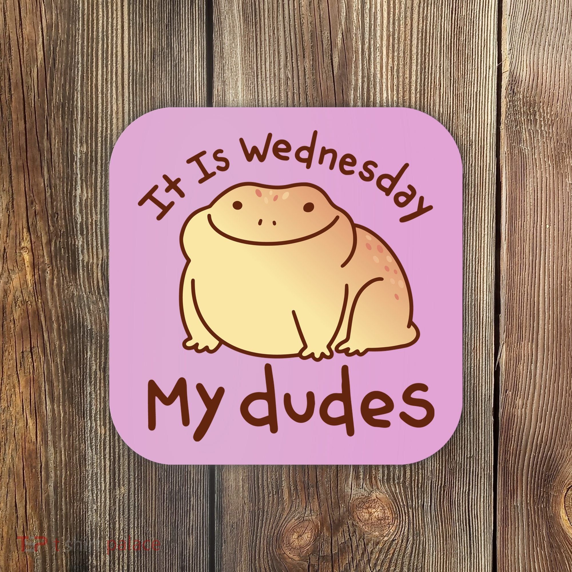 It Is Wednesday My Dudes Frog Funny Coaster