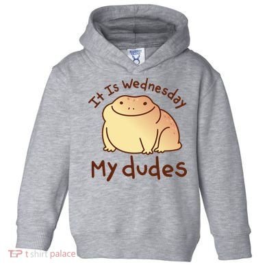 It Is Wednesday My Dudes Frog Funny Toddler Hoodie
