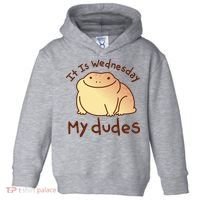 It Is Wednesday My Dudes Frog Funny Toddler Hoodie thumb 0