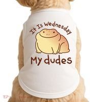 It Is Wednesday My Dudes Frog Funny Doggie Tank thumb 0