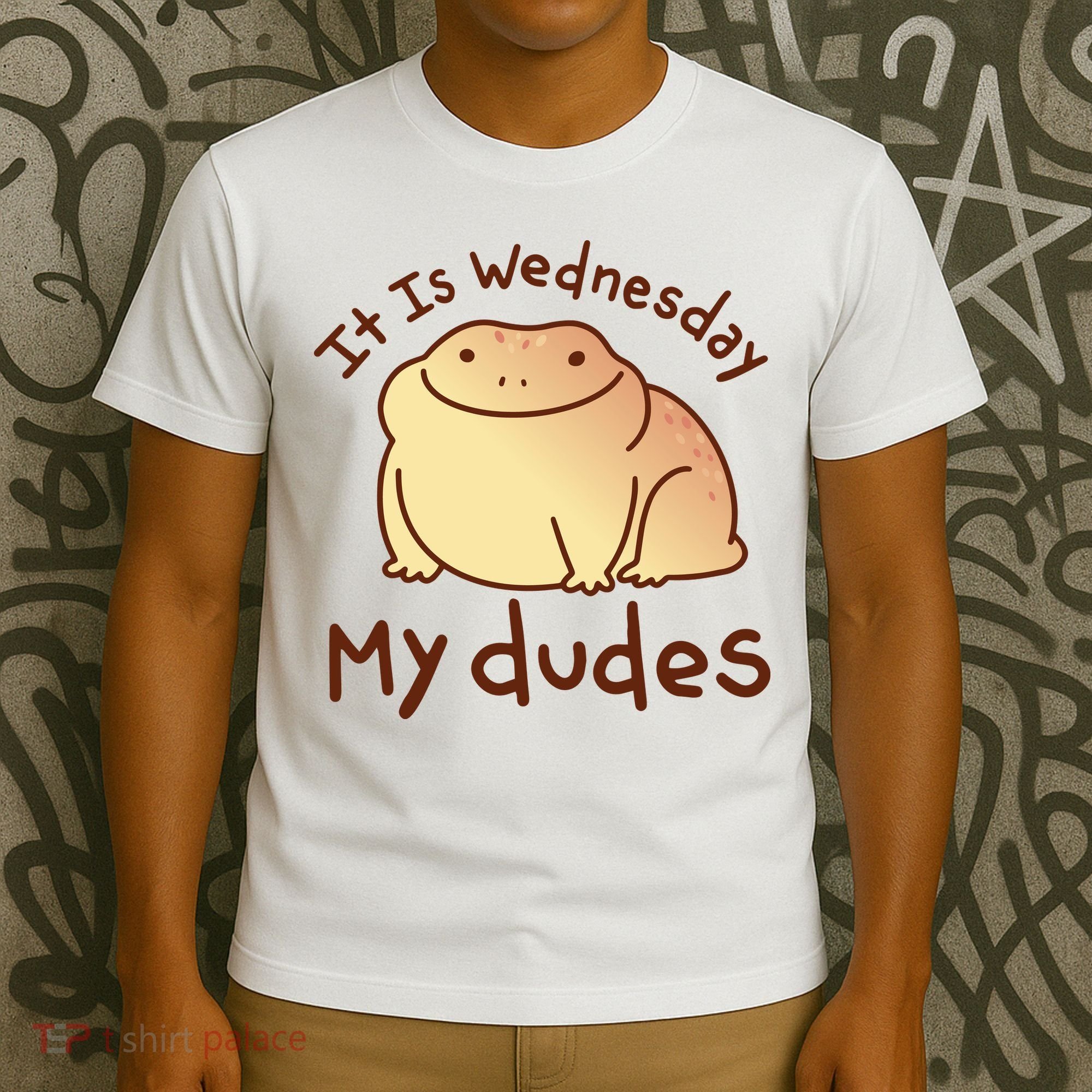 It Is Wednesday My Dudes Frog Funny T-Shirt