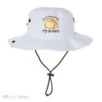 It Is Wednesday My Dudes Frog Funny Bucket Hat thumb 0