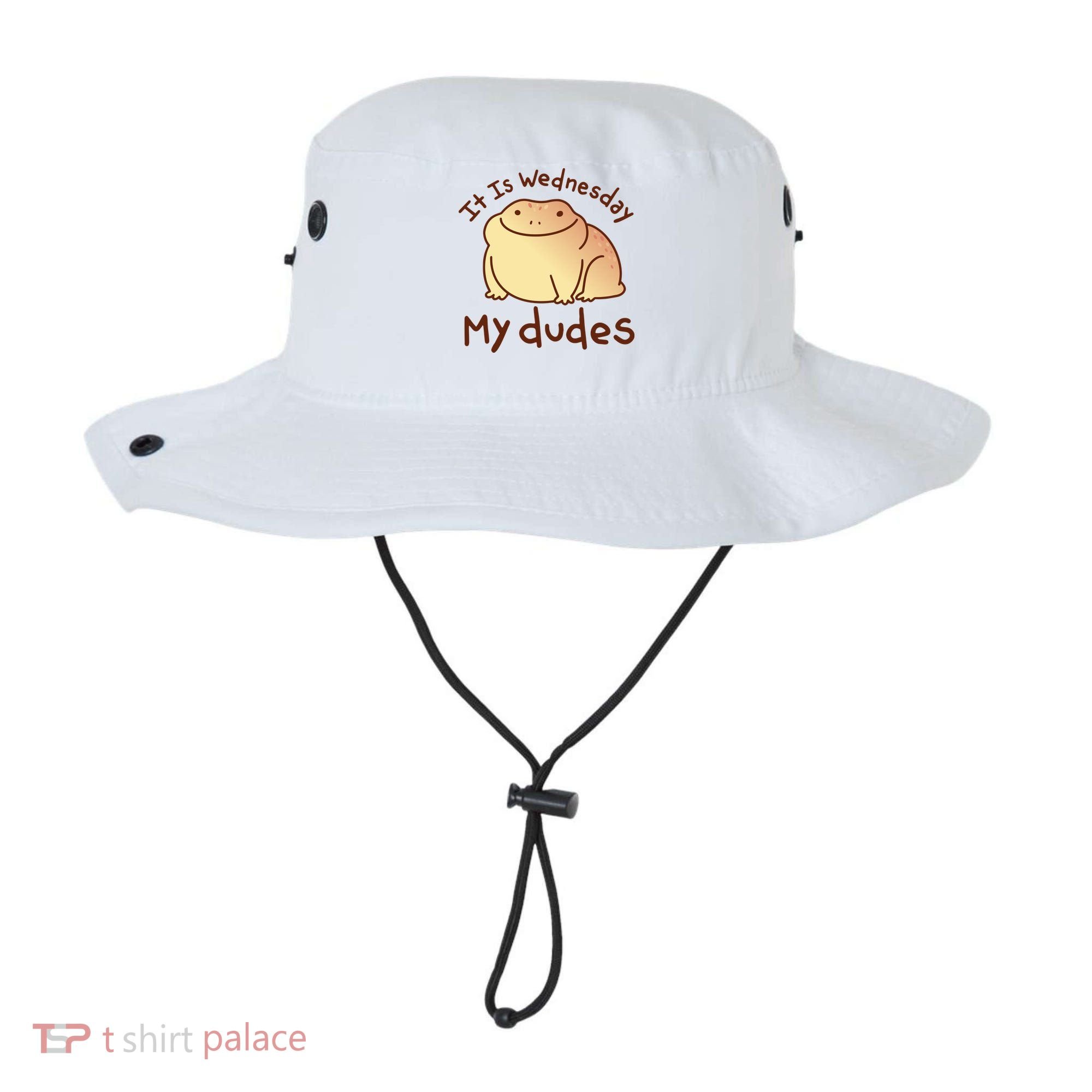 It Is Wednesday My Dudes Frog Funny Bucket Hat