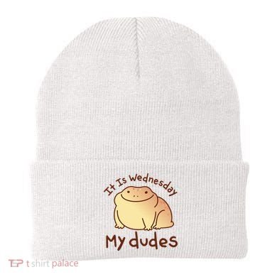 It Is Wednesday My Dudes Frog Funny Beanie