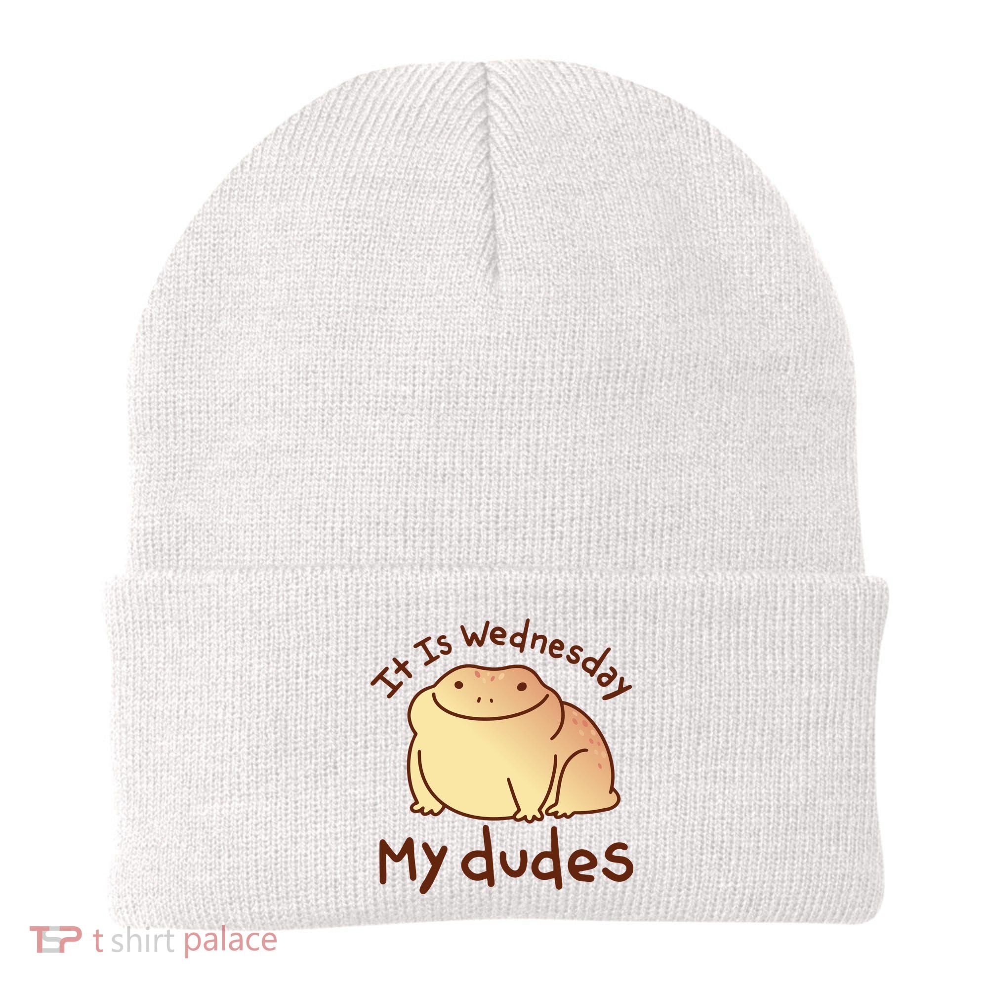 It Is Wednesday My Dudes Frog Funny Beanie