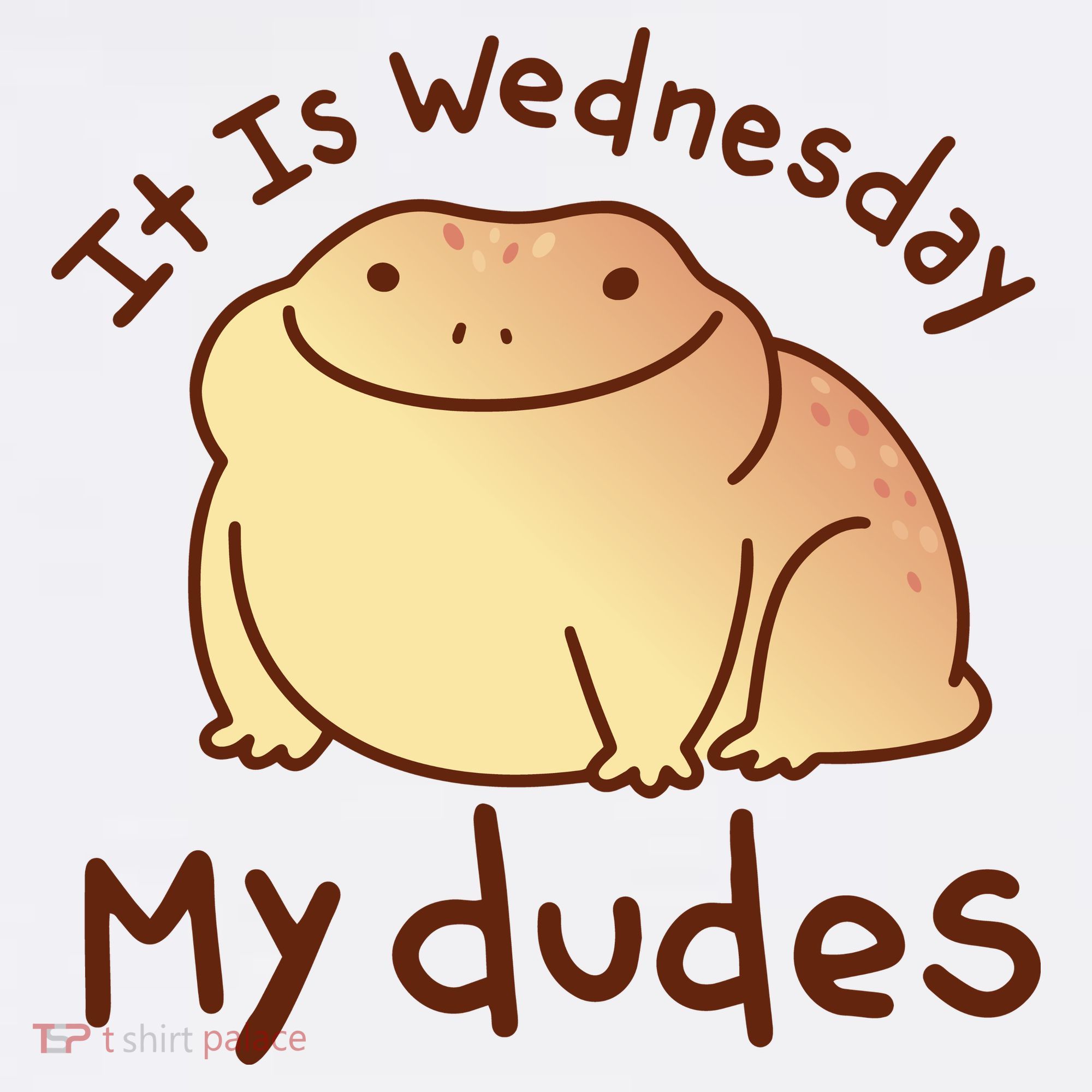 It Is Wednesday My Dudes Frog Funny Beanie