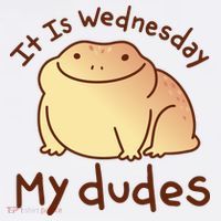 It Is Wednesday My Dudes Frog Funny Women's Tank Top thumb 5