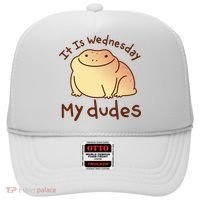 It Is Wednesday My Dudes Frog Funny Hat thumb 0