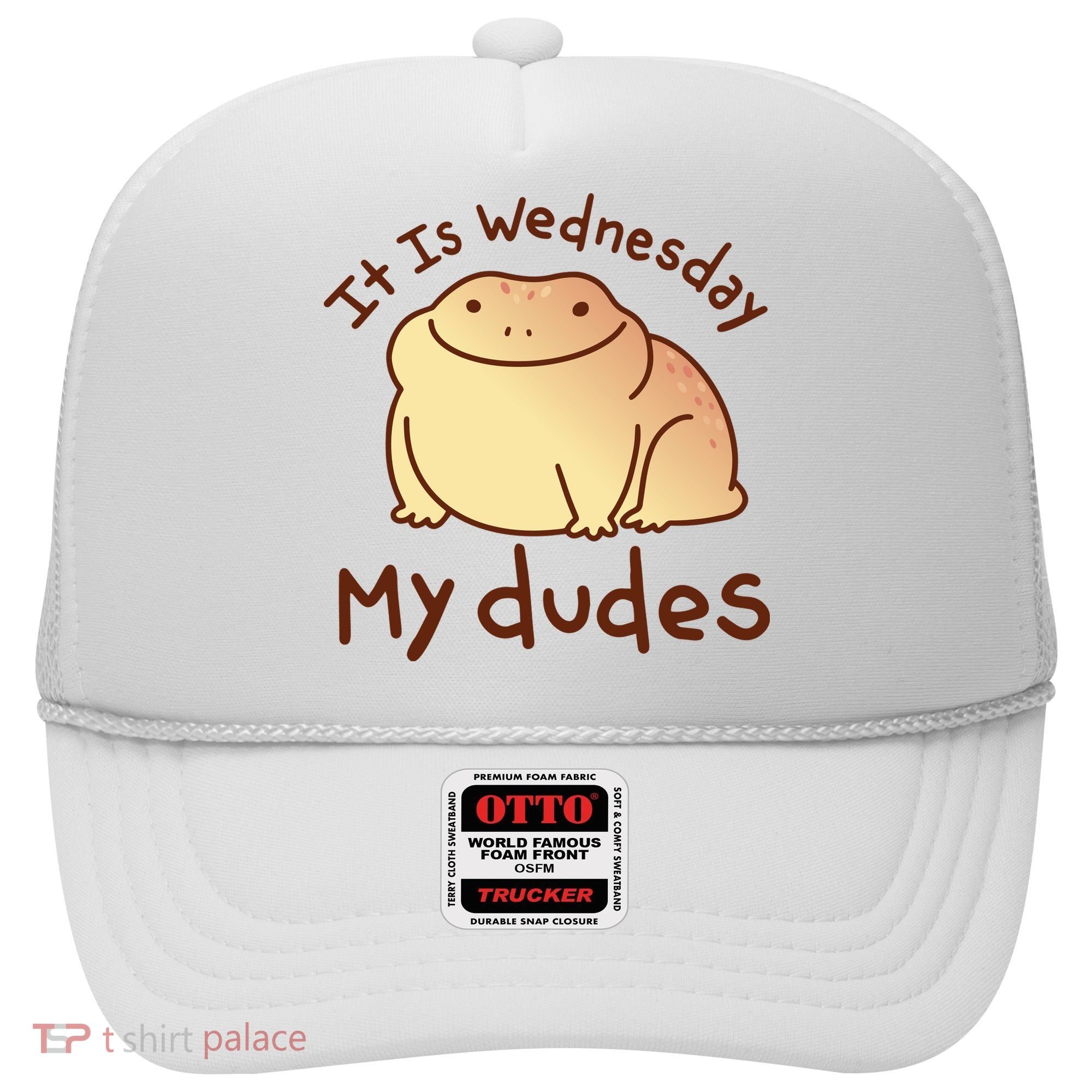 It Is Wednesday My Dudes Frog Funny Hat