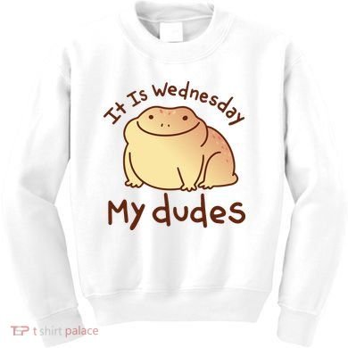 It Is Wednesday My Dudes Frog Funny Kids Sweatshirt