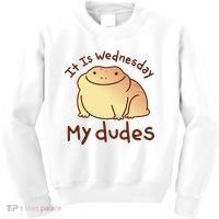 It Is Wednesday My Dudes Frog Funny Kids Sweatshirt thumb 0