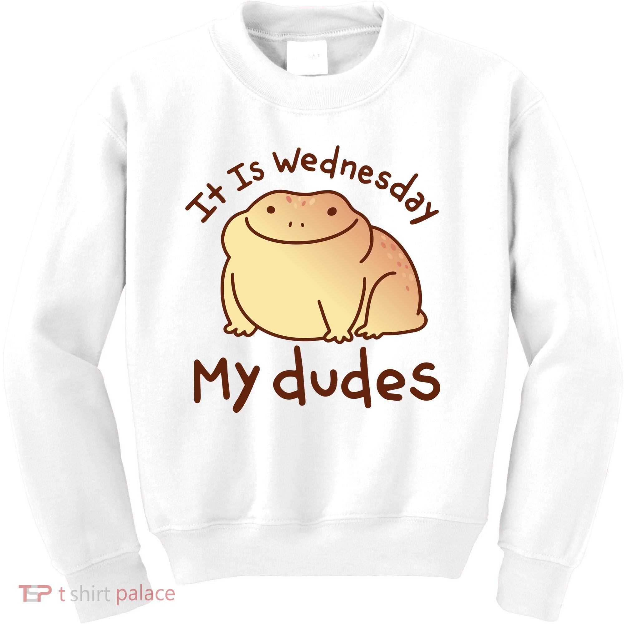It Is Wednesday My Dudes Frog Funny Kids Sweatshirt