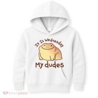 It Is Wednesday My Dudes Frog Funny Kids Hoodie thumb 0