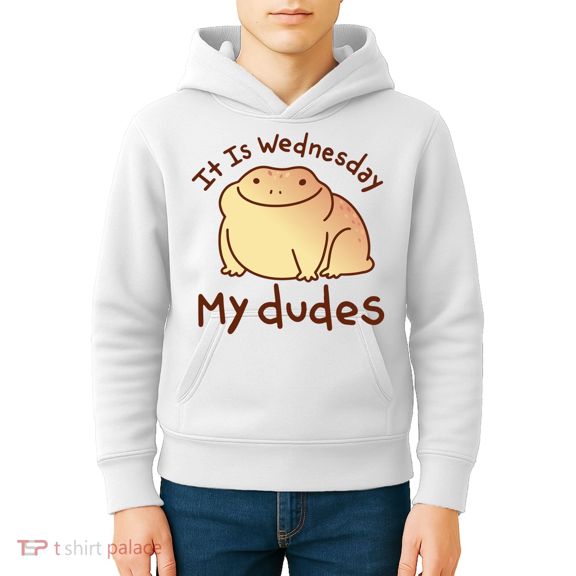 It Is Wednesday My Dudes Frog Funny Kids Hoodie