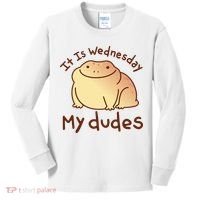 It Is Wednesday My Dudes Frog Funny Kids Long Sleeve Shirt thumb 0