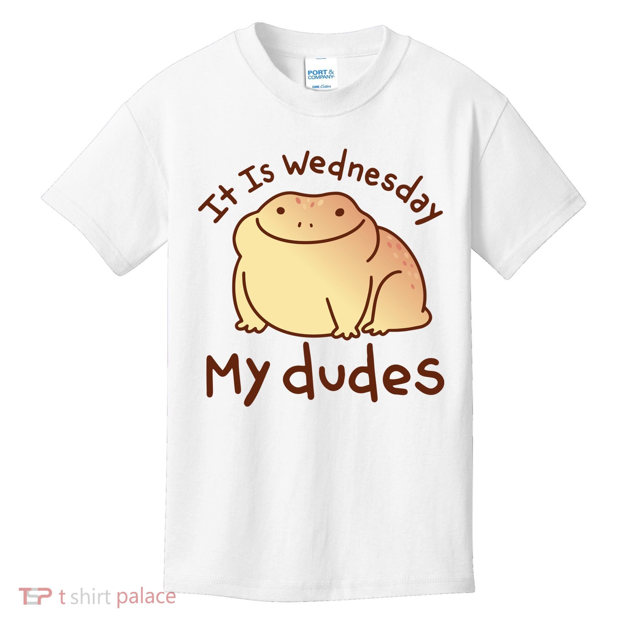 It Is Wednesday My Dudes Frog Funny Kids T-Shirt