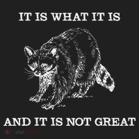 It Is What It Is And It Is Not Great Funny Raccoon Meme Beanie thumb 2