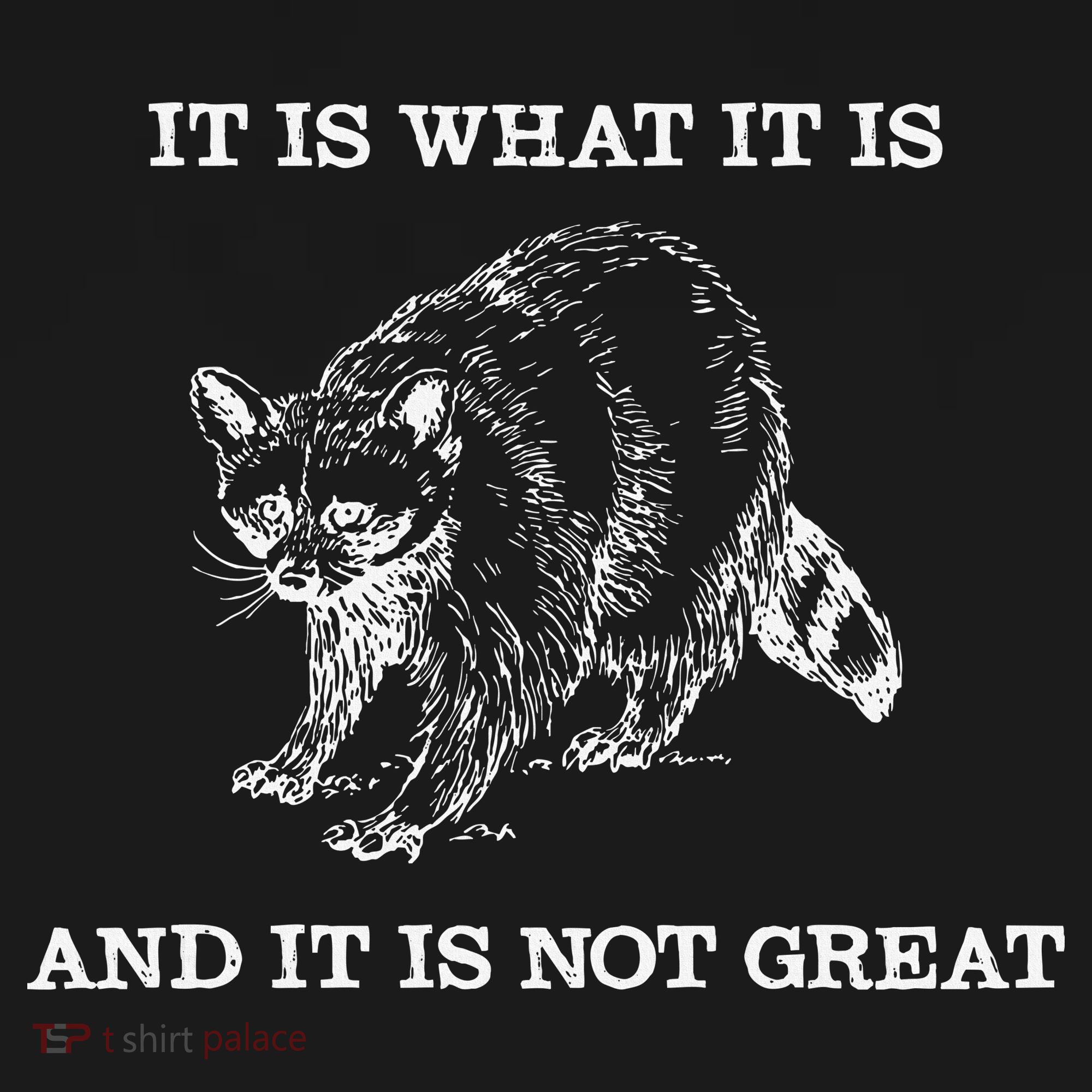 It Is What It Is And It Is Not Great Funny Raccoon Meme Women's Tank Top