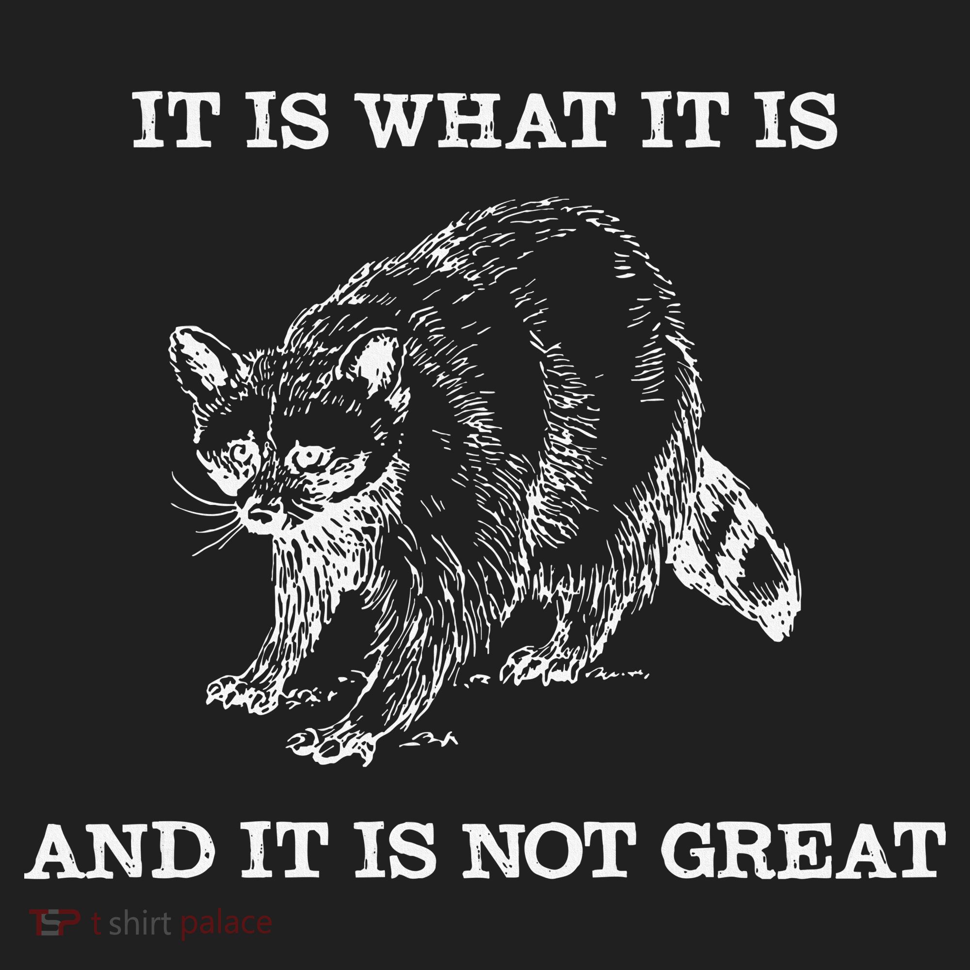 It Is What It Is And It Is Not Great Funny Raccoon Meme Hat