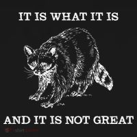 It Is What It Is And It Is Not Great Funny Raccoon Meme Visor thumb 3