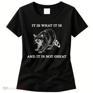 It Is What It Is And It Is Not Great Funny Raccoon Meme Women's T-Shirt