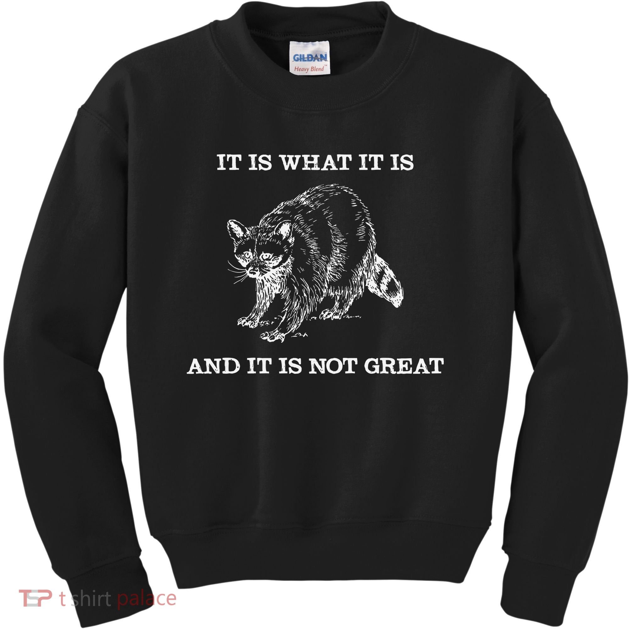It Is What It Is And It Is Not Great Funny Raccoon Meme Kids Sweatshirt
