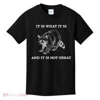 It Is What It Is And It Is Not Great Funny Raccoon Meme Kids T-Shirt thumb 0