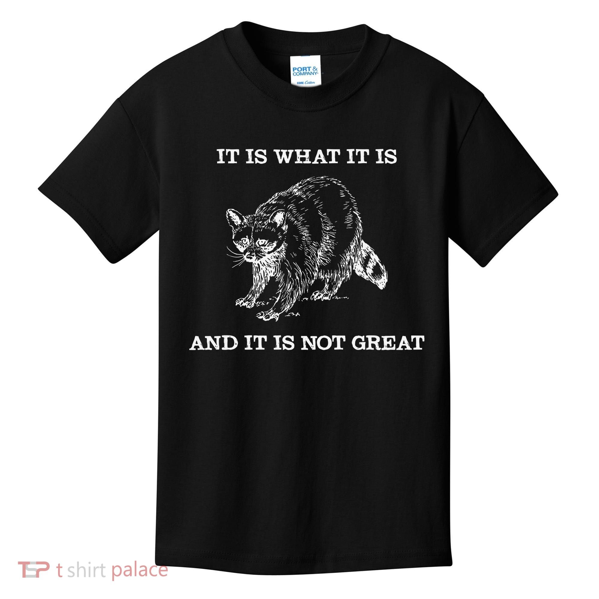 It Is What It Is And It Is Not Great Funny Raccoon Meme Kids T-Shirt