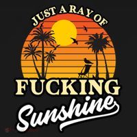 IM Just A Ray Of Fucking Sunshine Funny Sarcastic Funny Gift Women's Hoodie thumb 2