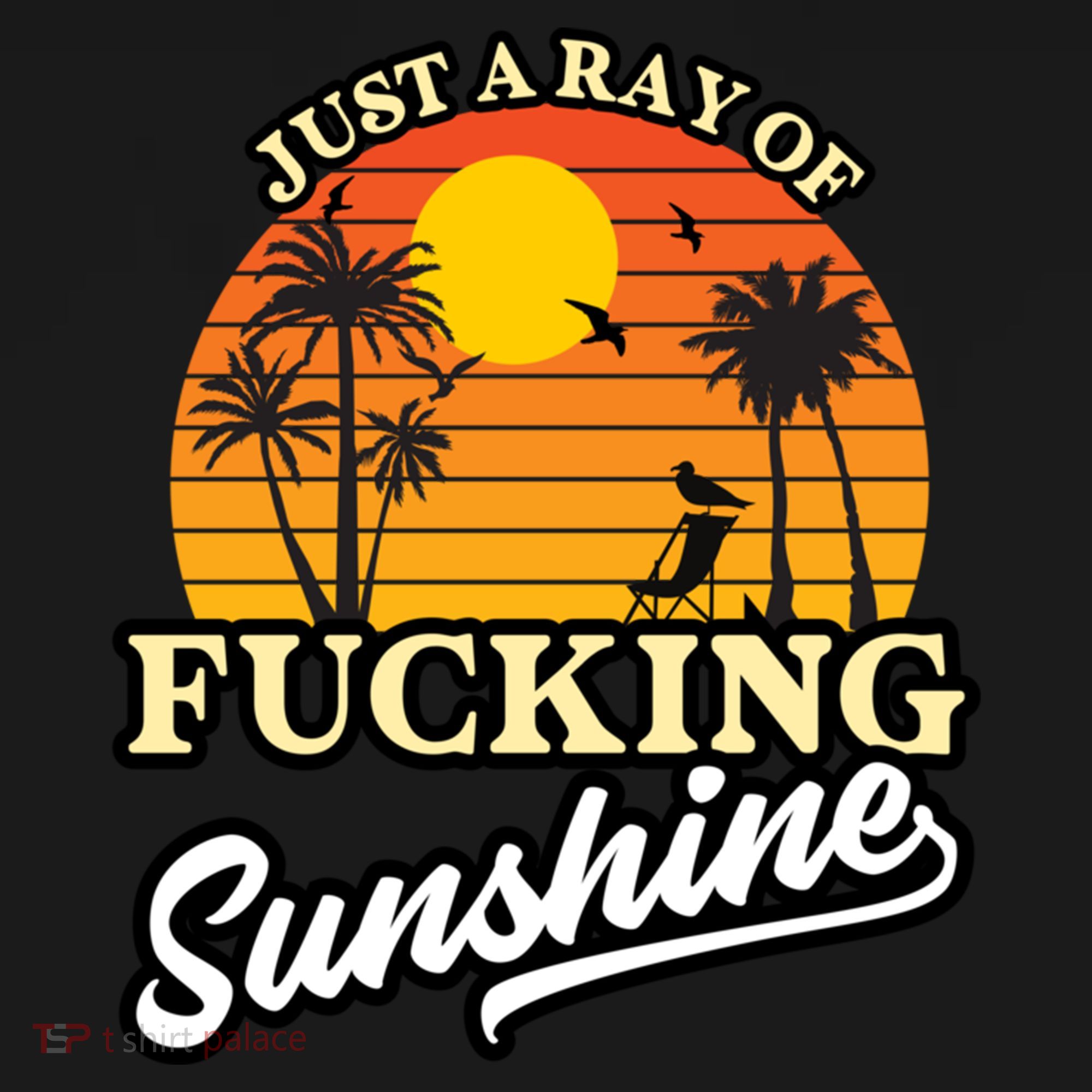 IM Just A Ray Of Fucking Sunshine Funny Sarcastic Funny Gift Women's Hoodie