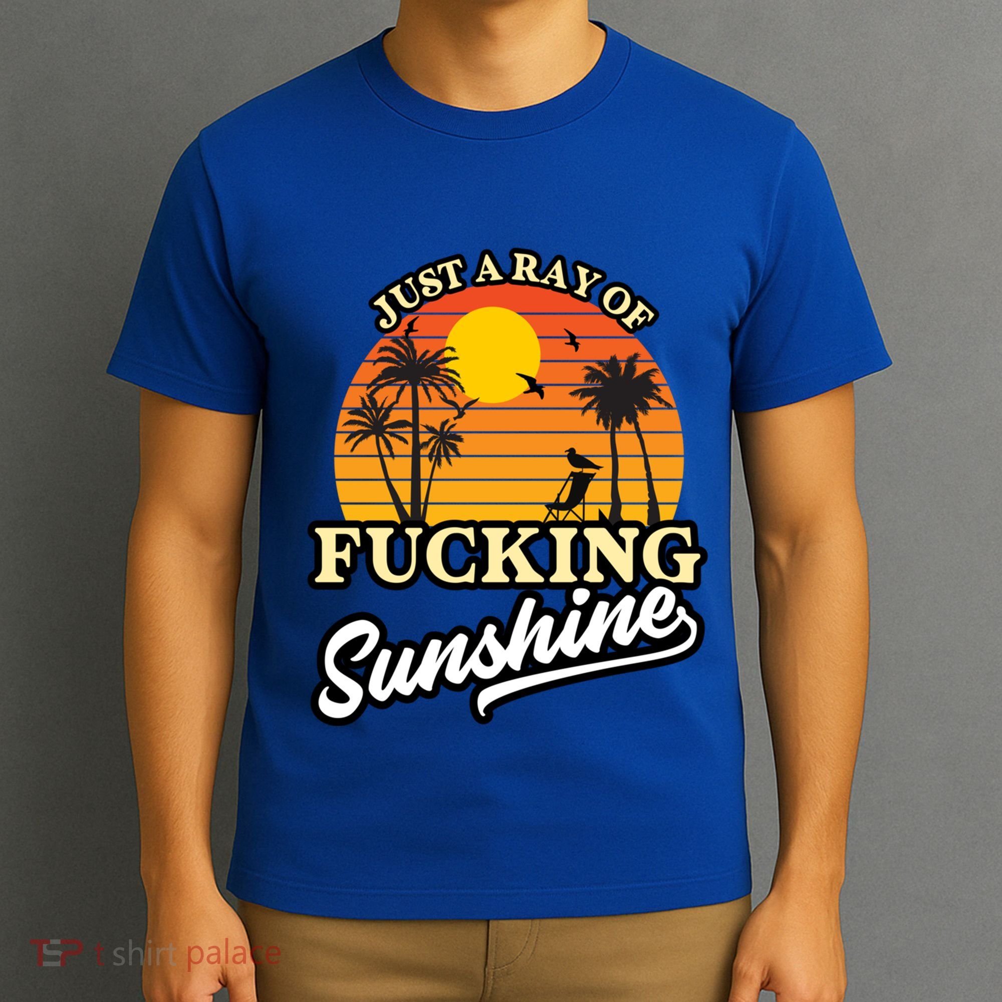 IM Just A Ray Of Fucking Sunshine Funny Sarcastic Funny Gift T-Shirt
