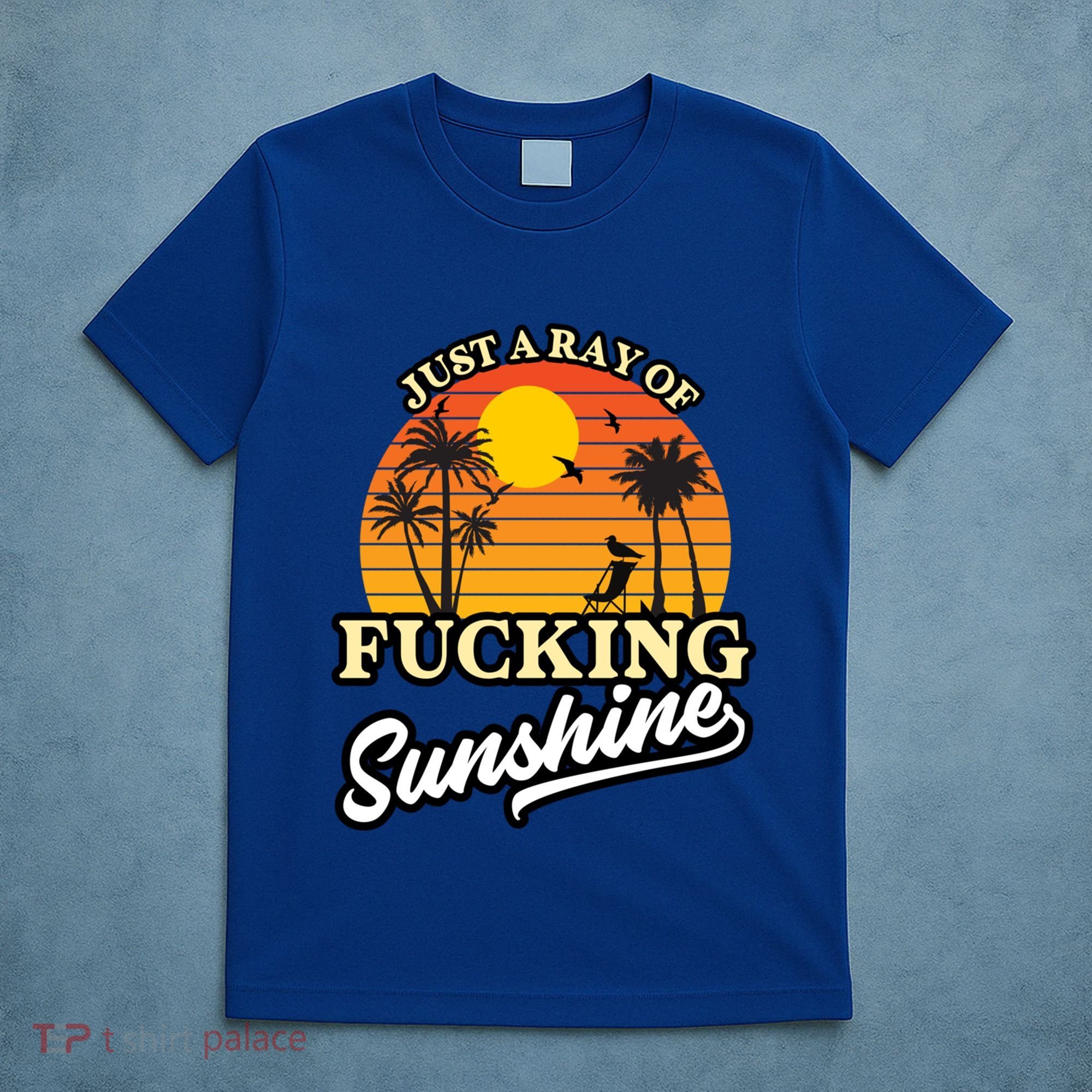 IM Just A Ray Of Fucking Sunshine Funny Sarcastic Funny Gift T-Shirt