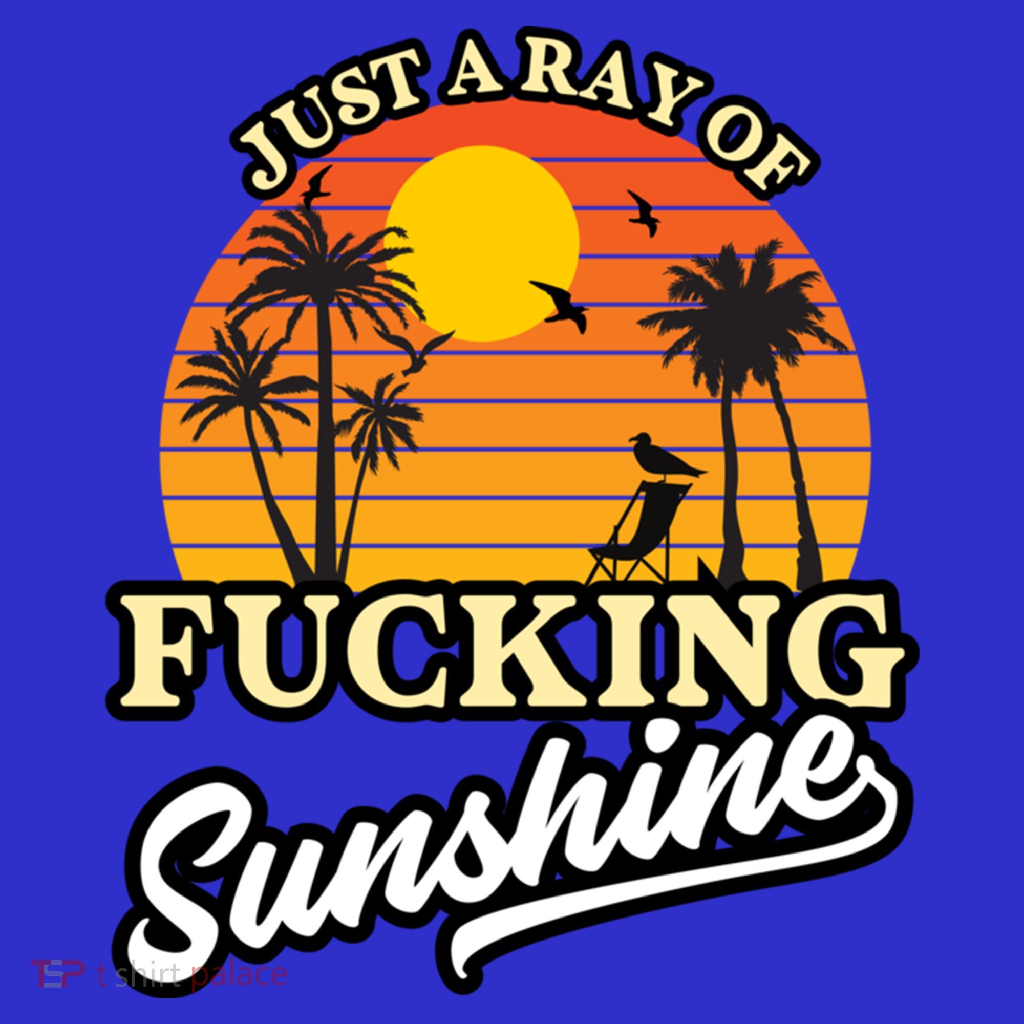 IM Just A Ray Of Fucking Sunshine Funny Sarcastic Funny Gift Women's Tank Top