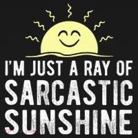 I’m Just A Ray Of Sarcastic Sunshine Funny Sarcastic Saying Hooded Wearable Blanket thumb 2