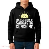 I’m Just A Ray Of Sarcastic Sunshine Funny Sarcastic Saying Kids Hoodie thumb 4