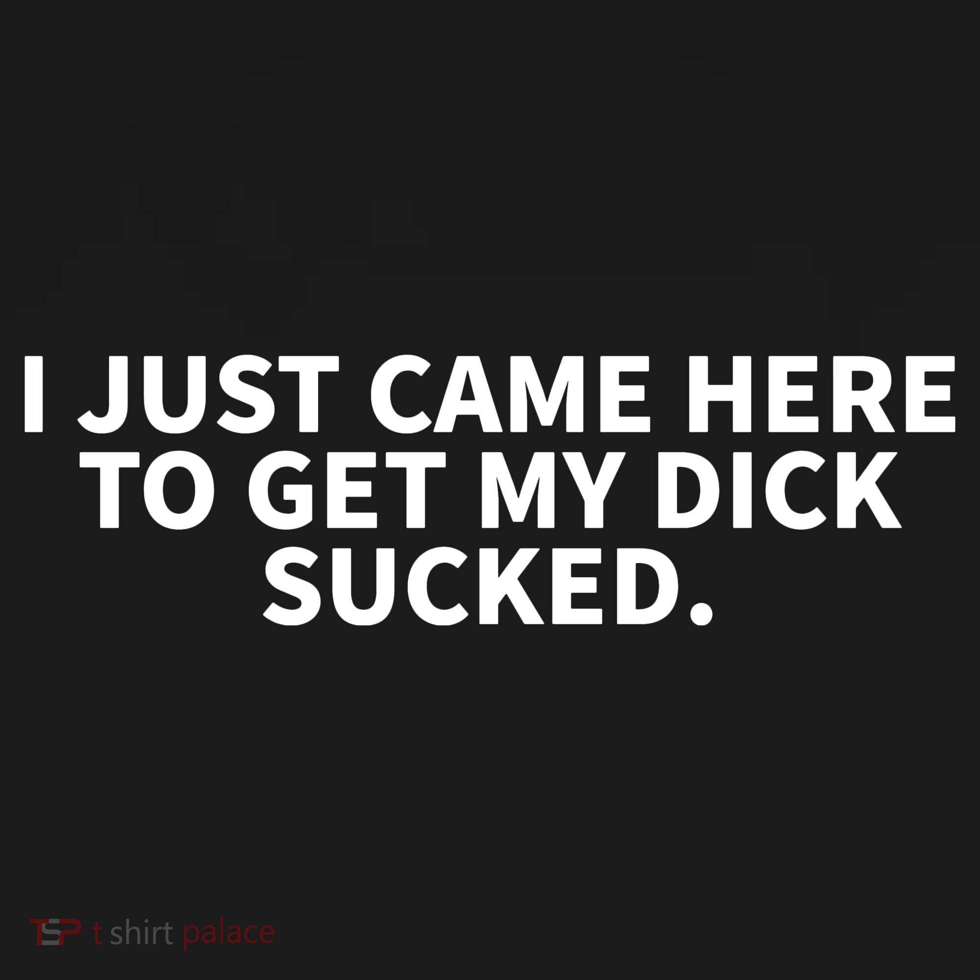 I Just Came Here To Get My Dick Sucked Funny Saying Sweatshirt