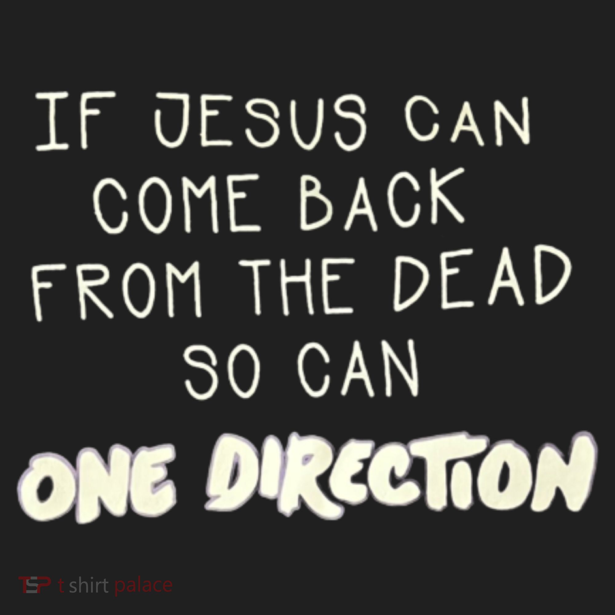 If Jesus Can Come Back From The Dead So Can One Direction Beanie