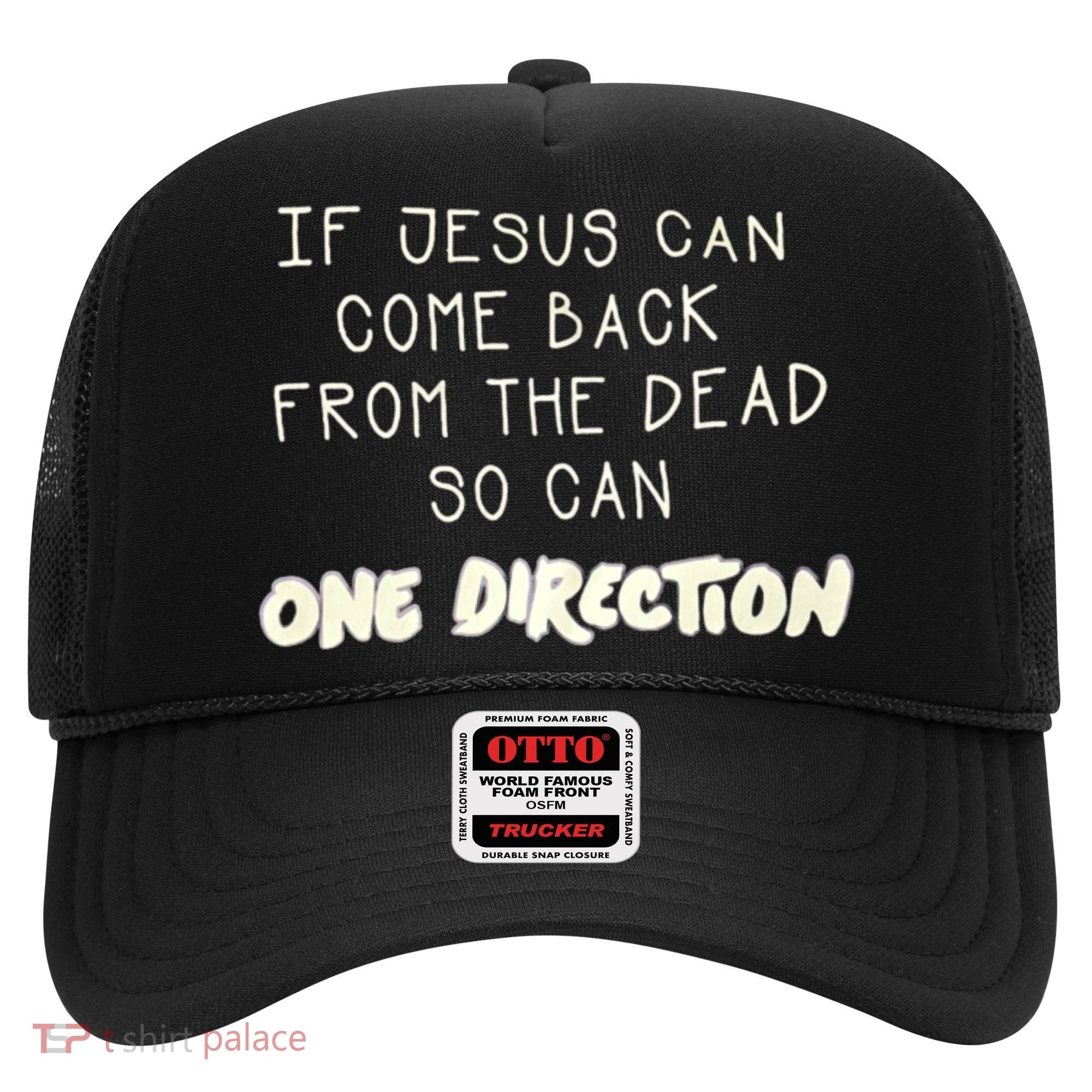 If Jesus Can Come Back From The Dead So Can One Direction Hat