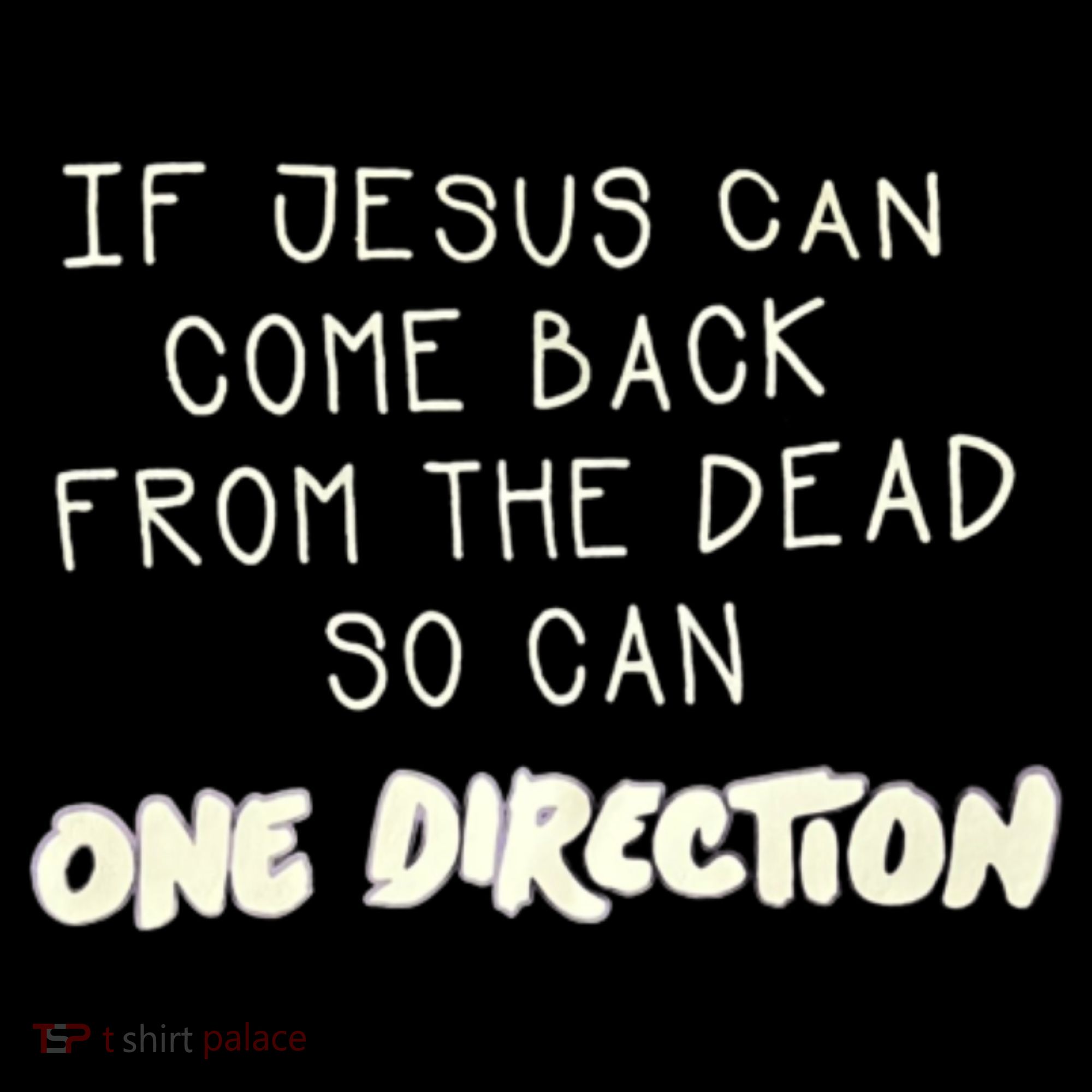 If Jesus Can Come Back From The Dead So Can One Direction Toddler Hoodie
