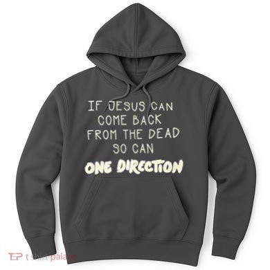 If Jesus Can Come Back From The Dead So Can One Direction Hoodie