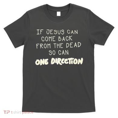 If Jesus Can Come Back From The Dead So Can One Direction T-Shirt