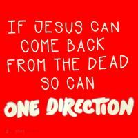 If Jesus Can Come Back From The Dead So Can One Direction Santa Hat thumb 1