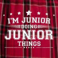 Im Junior Doing Junior Things Women's Flannel Plaid Pajama Pants thumb 2