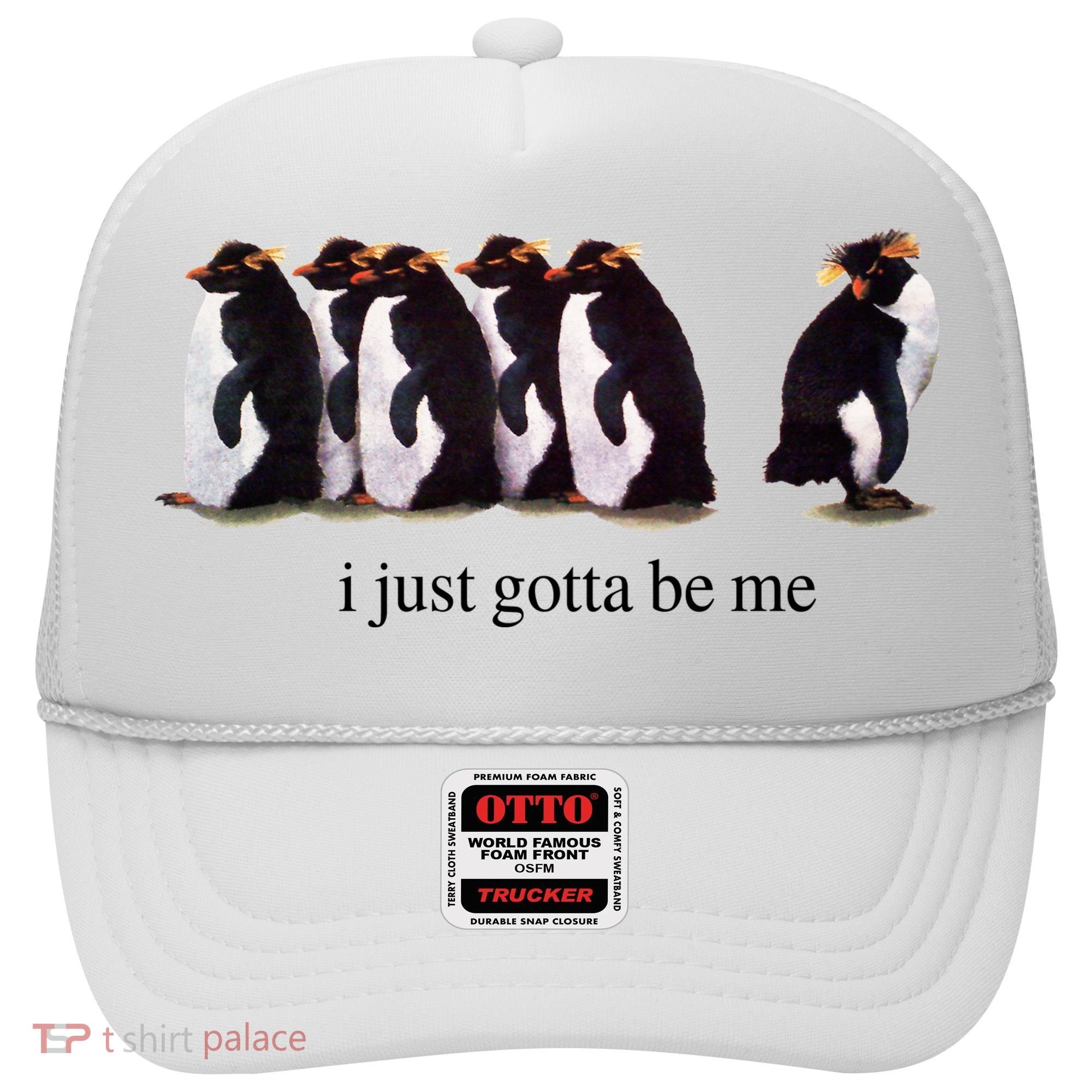 I Just Gotta Be Me Penguin Hat